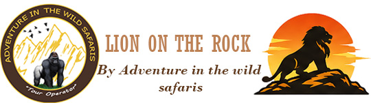 Uganda Safari Tours