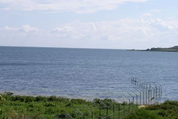 1 Day Ngamba Island Excursion