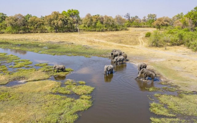 10 Days Okavango Delta Safari (Botswana)