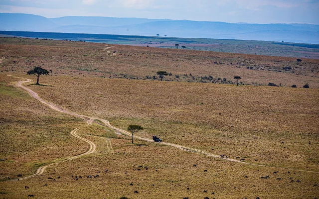 10 Days Uganda & Rwanda Gorilla Safari