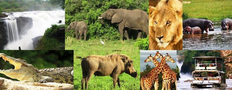 Uganda Travel Facts
