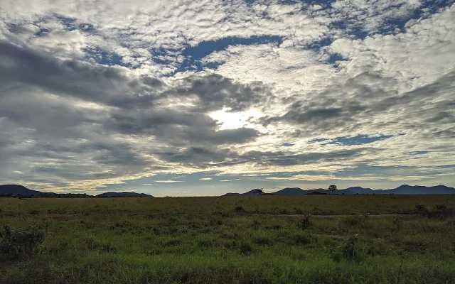 4 Days Kidepo Valley Safari