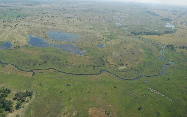 8 Days Best of Botswana Wilderness Safari