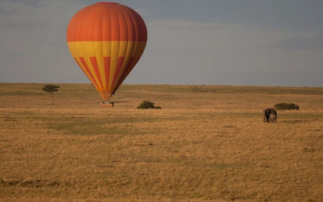 8 Days Kenya Wildlife Safari