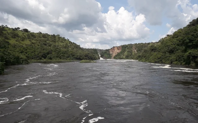 8 Days Uganda Safari Adventure