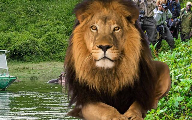 8 Days Primates & Wildlife Safari (Uganda)