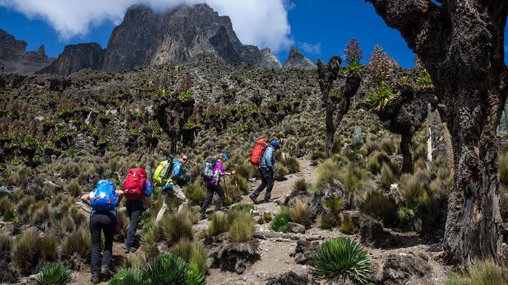 Best Time for Mount Elgon Hiking