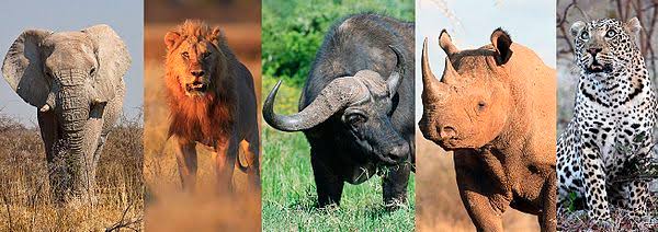 7 Days Rwanda Wildlife Safari