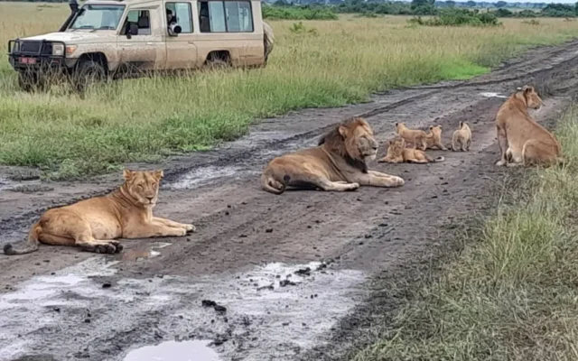 16 Days Uganda Adventure Safari
