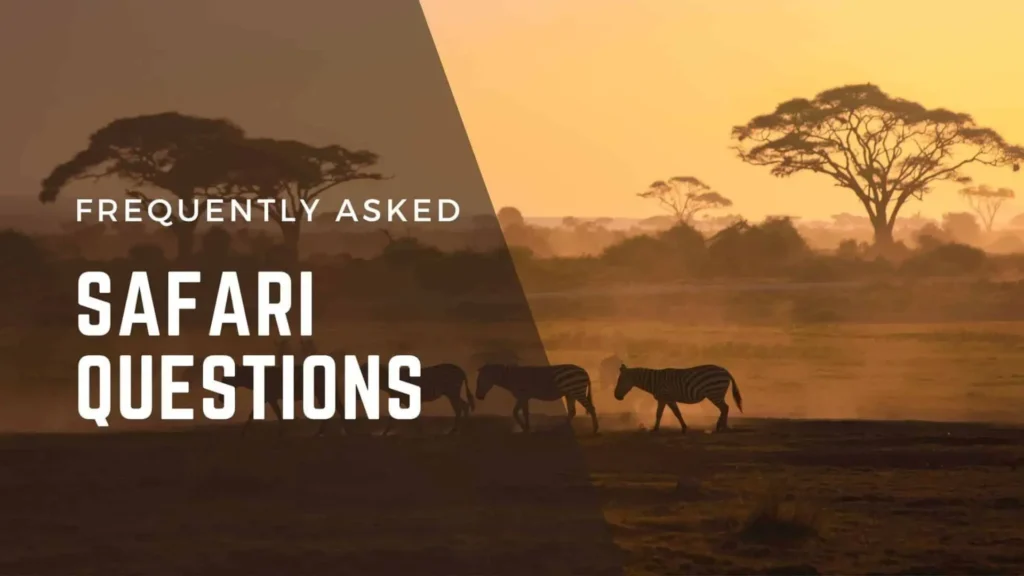 Frequently Asked Questions About Safaris in the Pearl of Africa