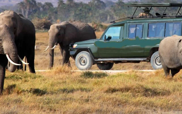 2 Days Queen Elizabeth Safari