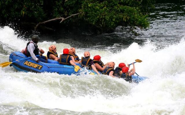 8 Days Uganda Safari Adventure