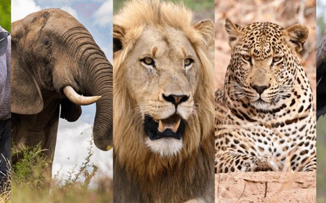 3 Days Big Five Safari in Uganda