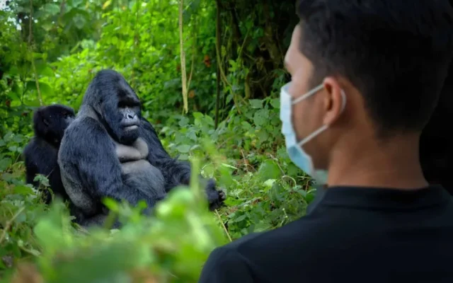 Bwindi Impenetrable National Park