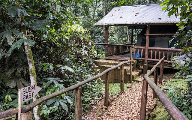 Mahogany Springs Lodge