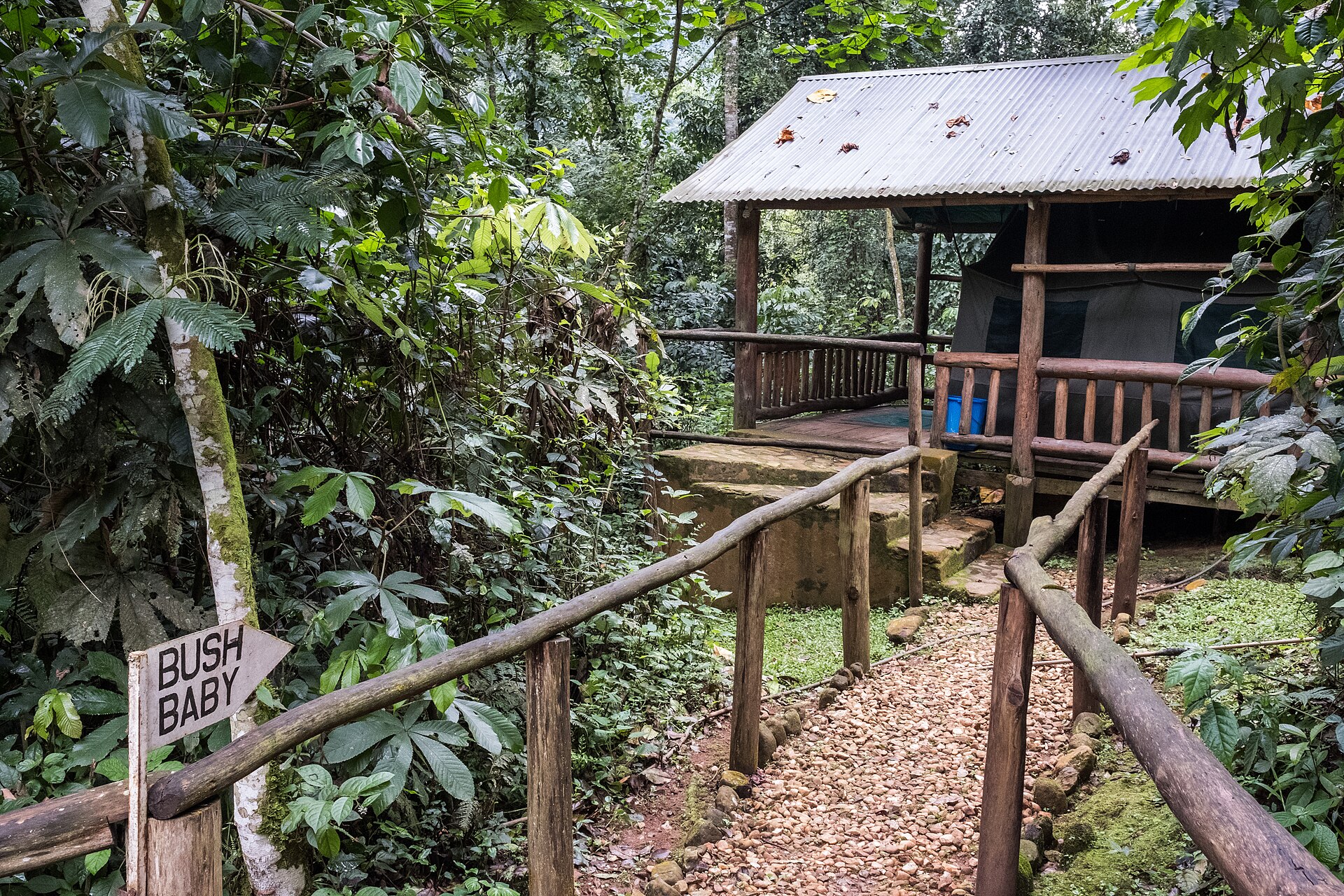 Mahogany Springs Lodge