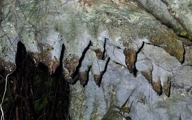 Amabere Caves & Fort Portal Crater Lakes