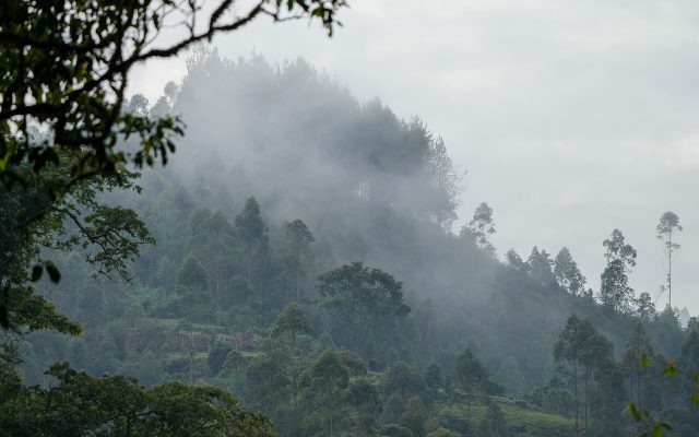 Erebero Hills