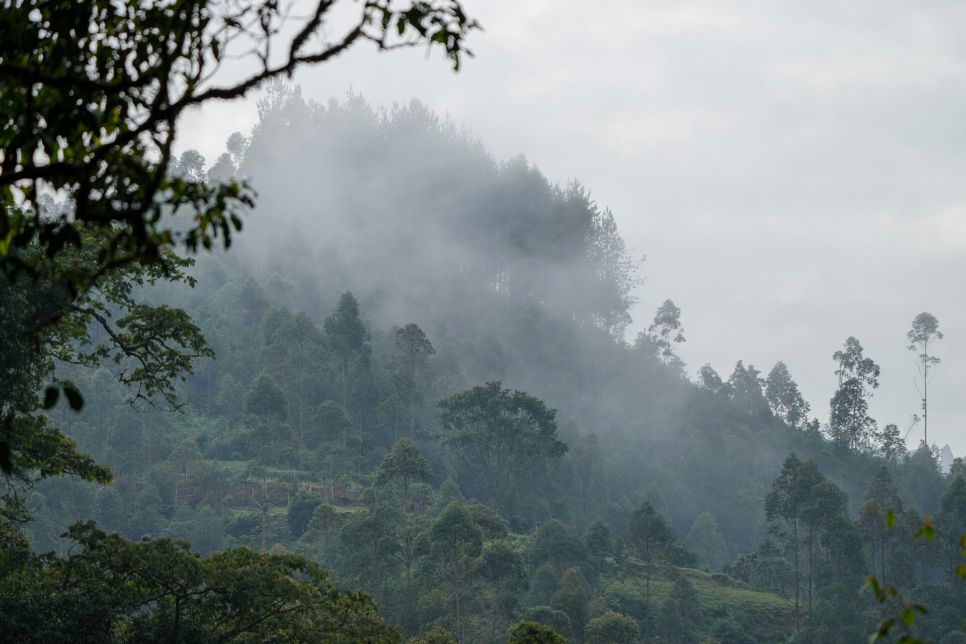 Erebero Hills