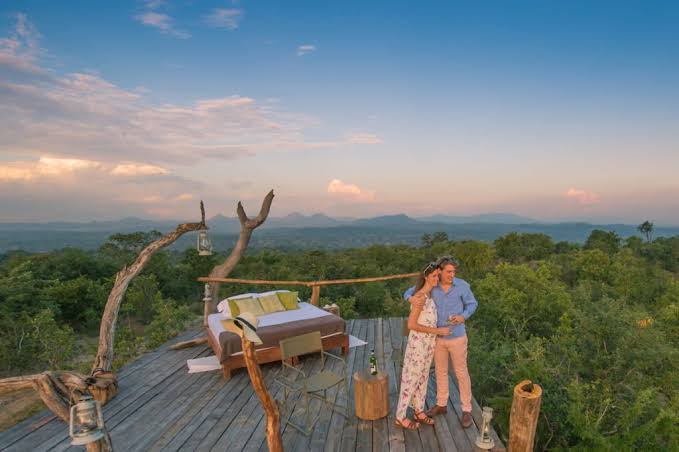 honeymoon safari
