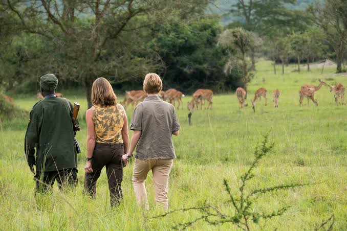 How Many Days Do You Need for a Uganda Safari?