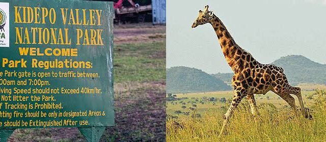 6 Days Kidepo Valley & Murchison Falls Safari