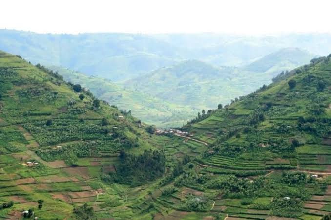 kigezi highland