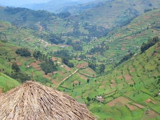 kigezi highlands