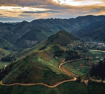 Kisoro Highlands
