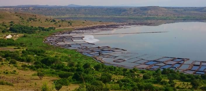 lake katwe