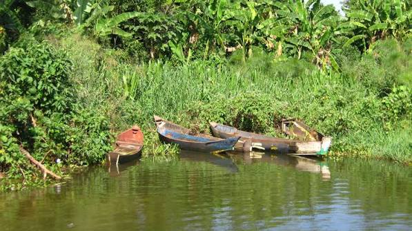 lake kyoga