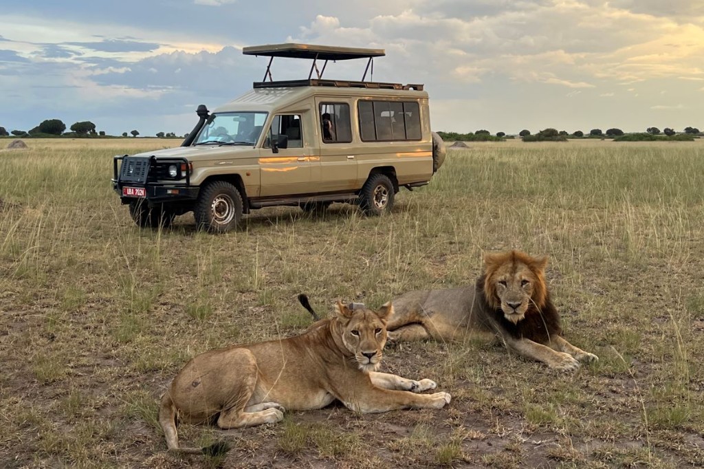 Luxury Uganda Safari Itinerary Ideas