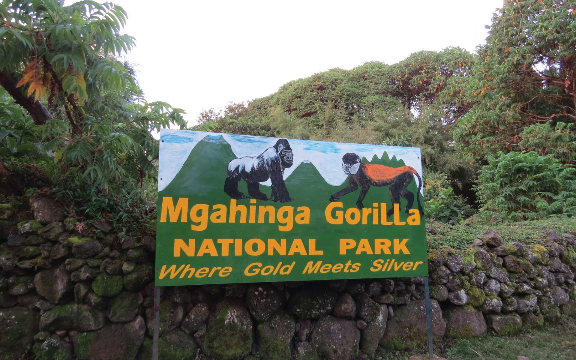 mgahinga