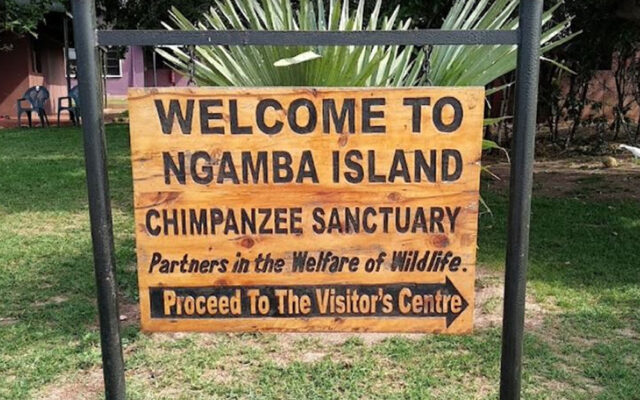1 Day Ngamba Island Excursion