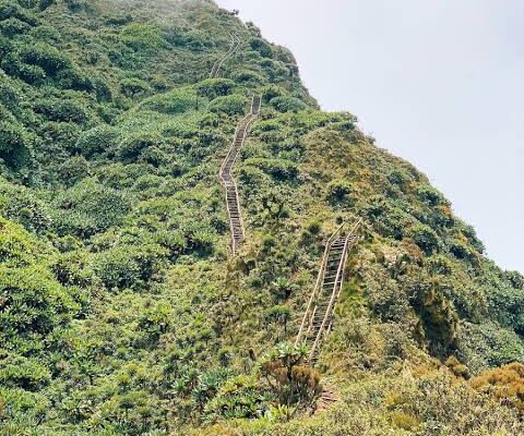 3 Days Mount Sabinyo Hike (Mgahinga)