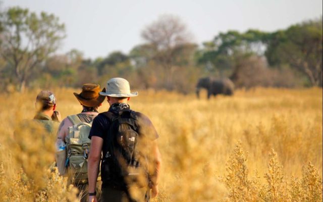Uganda Travel Insurance: Complete Guide to Safe & Protected Safari Travel