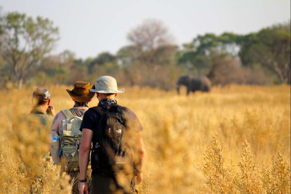 Uganda Travel Insurance: Complete Guide to Safe & Protected Safari Travel — Uganda safari travel guide
