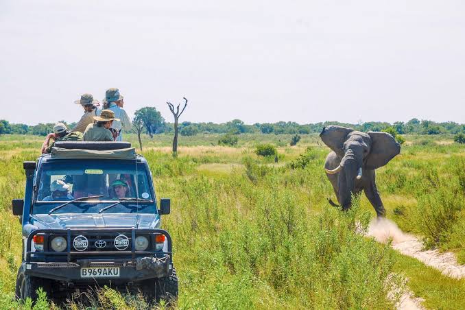 Uganda vs Botswana Safari