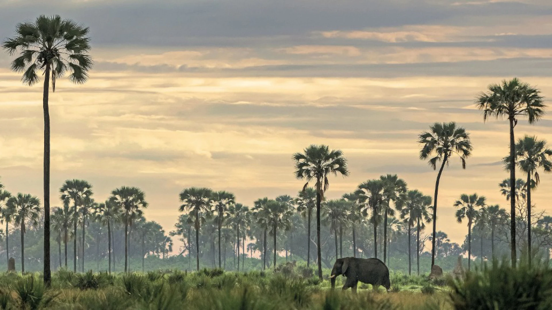 What is Lake Manyara famous for?