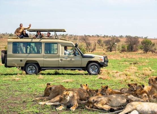 14 Days Uganda Wildlife & Primates Safari