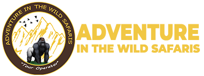 Uganda Safari Tours
