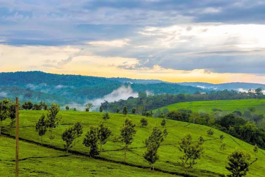 Western Uganda hills on the drive from Murchison Falls to Kibale