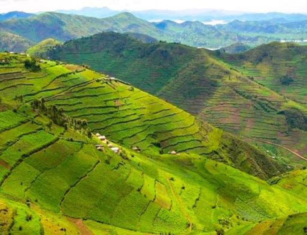 Terraced hills of the Kigezi highlands, Uganda
