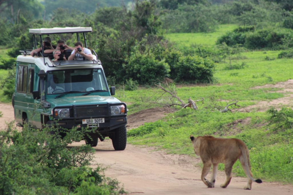 Safari vehicle at dawn in Murchison Falls National Park, Uganda