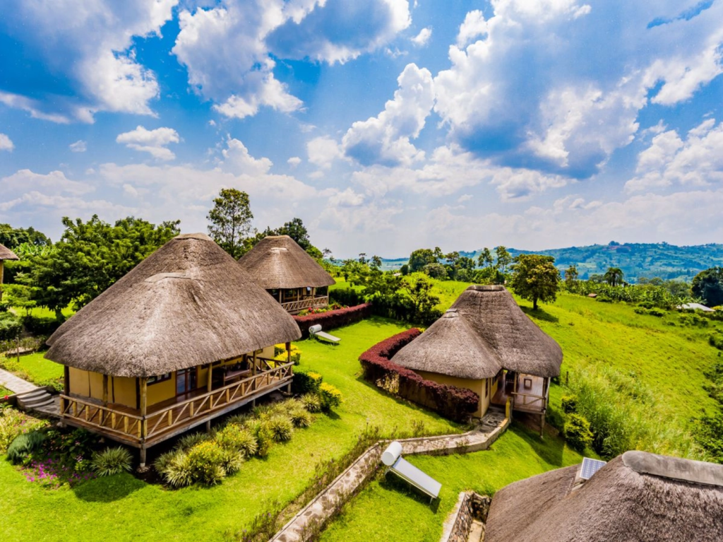 Safari lodge accommodation in western Uganda