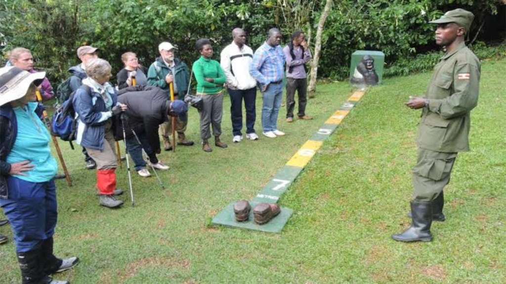 Ranger briefing before gorilla tracking in Bwindi Impenetrable Forest, Uganda