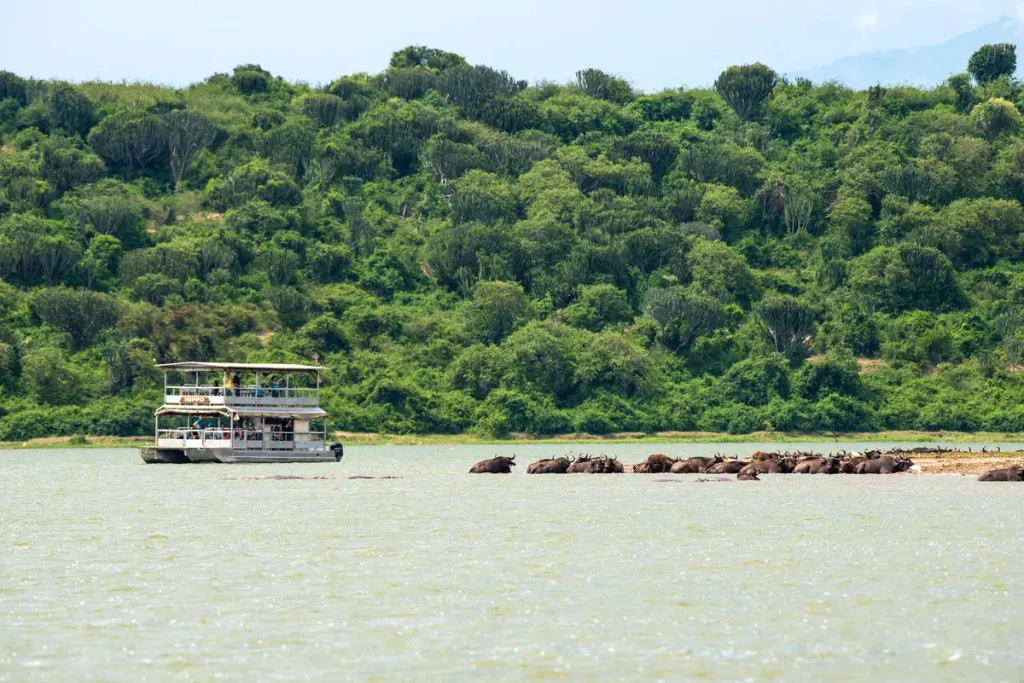 Boat safari experience at Queen Elizabeth National Park